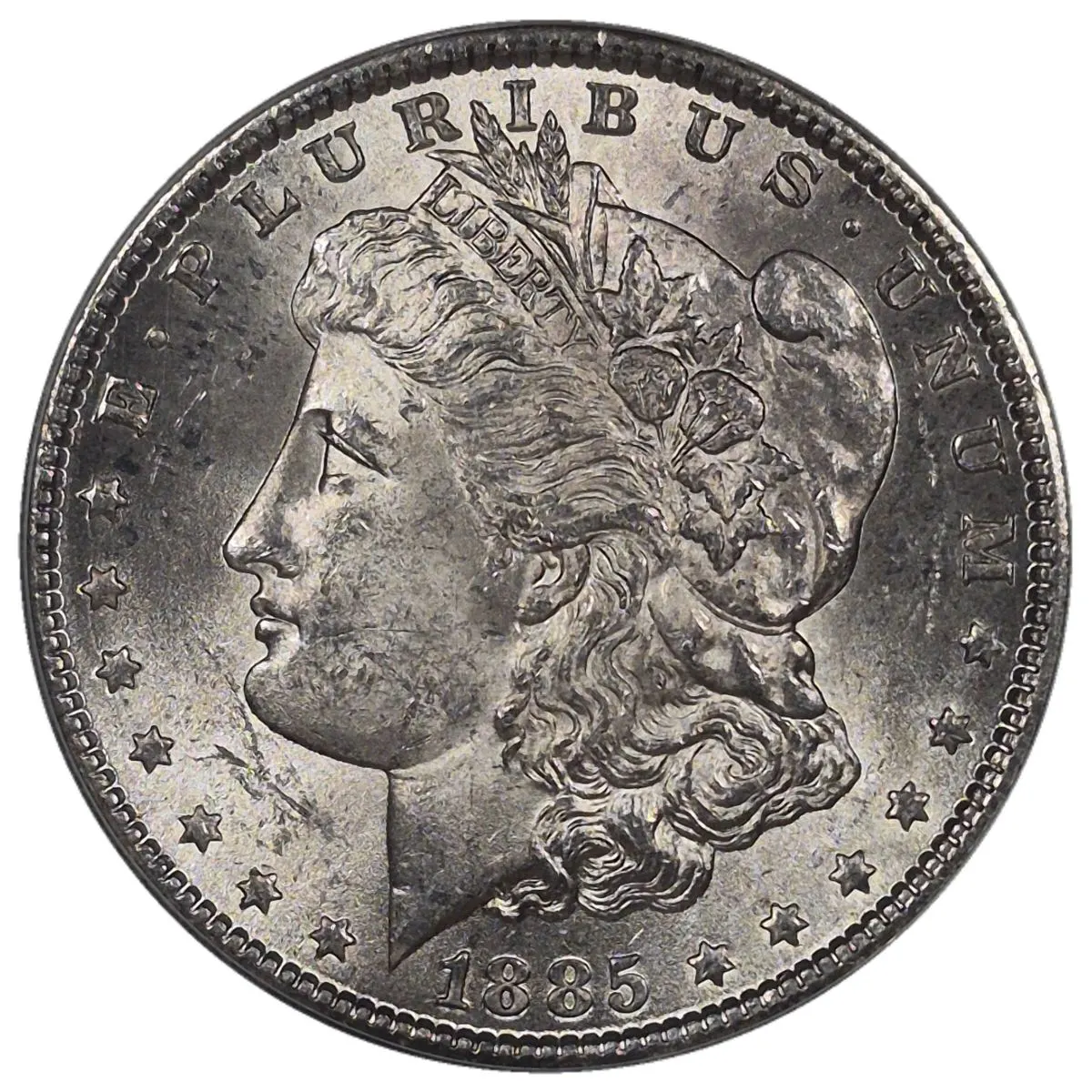 1885-$1-Morgan-Dollar-#18---TPG-21-Of-40
